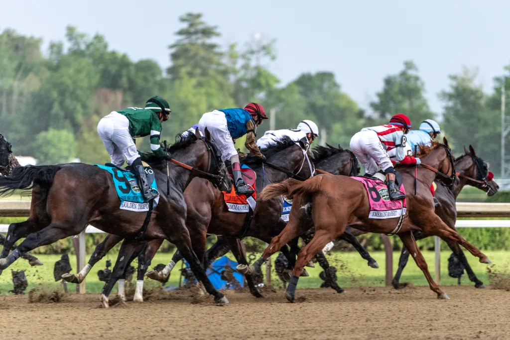 2026 Belmont Stakes thoroughbred horse racing — Northeast Dakota Photography (photo 104 of 132)