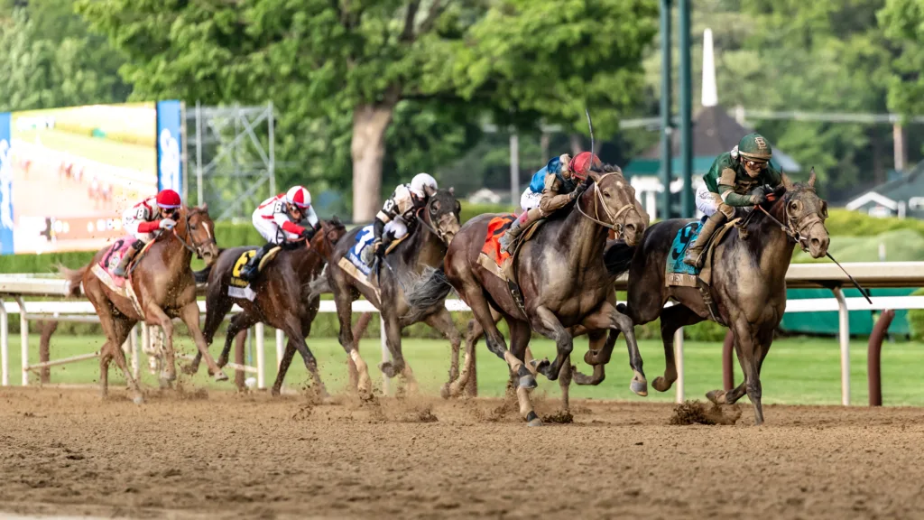 2026 Belmont Stakes thoroughbred horse racing — Northeast Dakota Photography (photo 106 of 132)