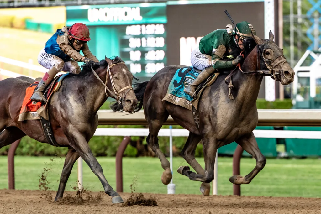 2026 Belmont Stakes thoroughbred horse racing — Northeast Dakota Photography (photo 108 of 132)