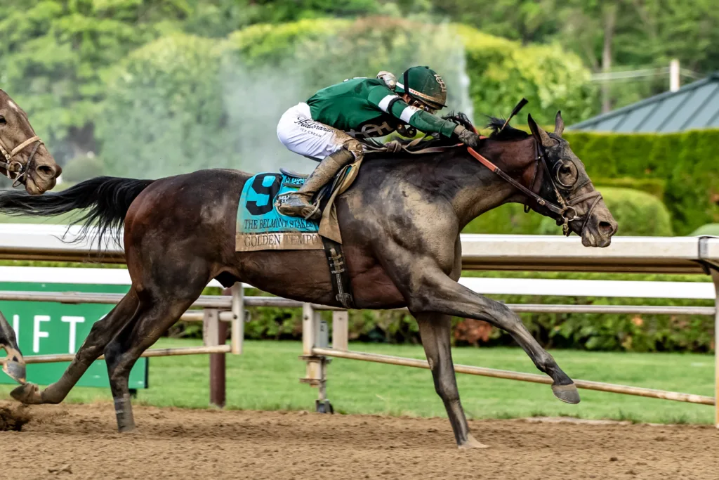 2026 Belmont Stakes thoroughbred horse racing — Northeast Dakota Photography (photo 111 of 132)